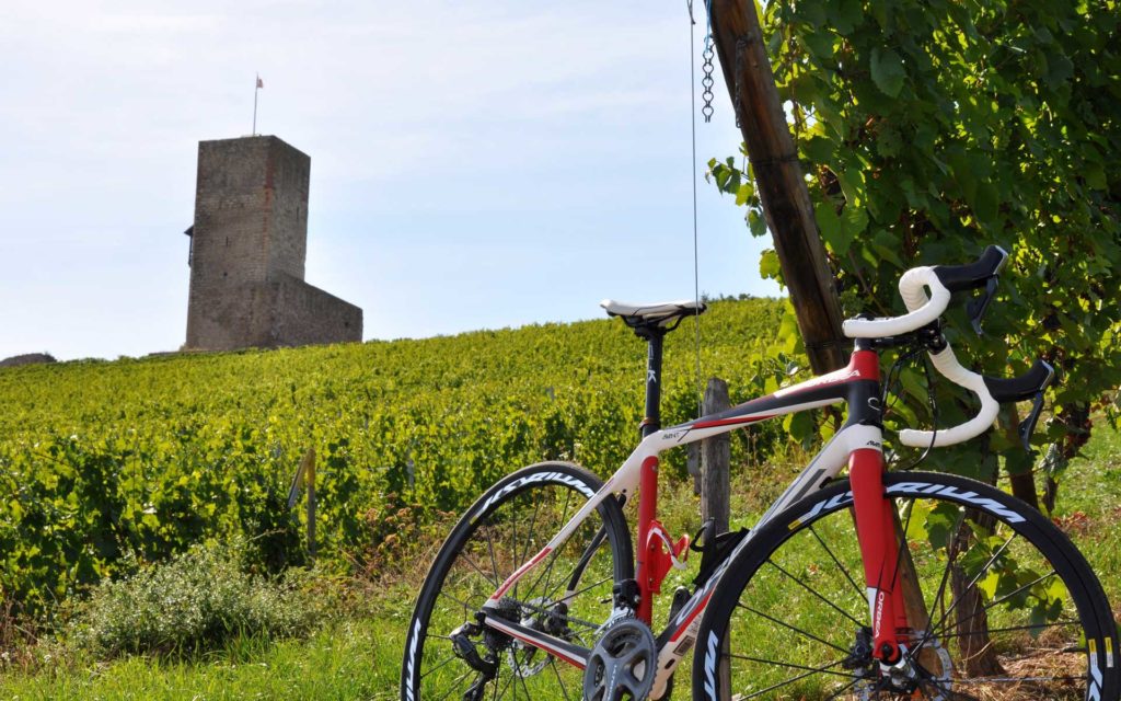 Mit DePuySynthes im schönen Elsass