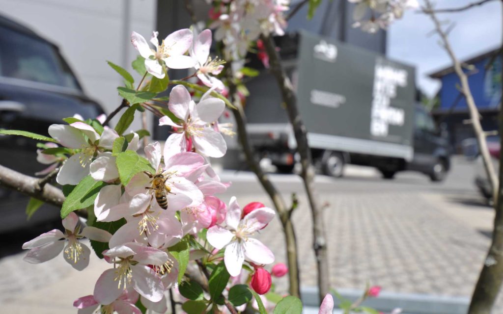 Die Gartensaison 2019 beginnt