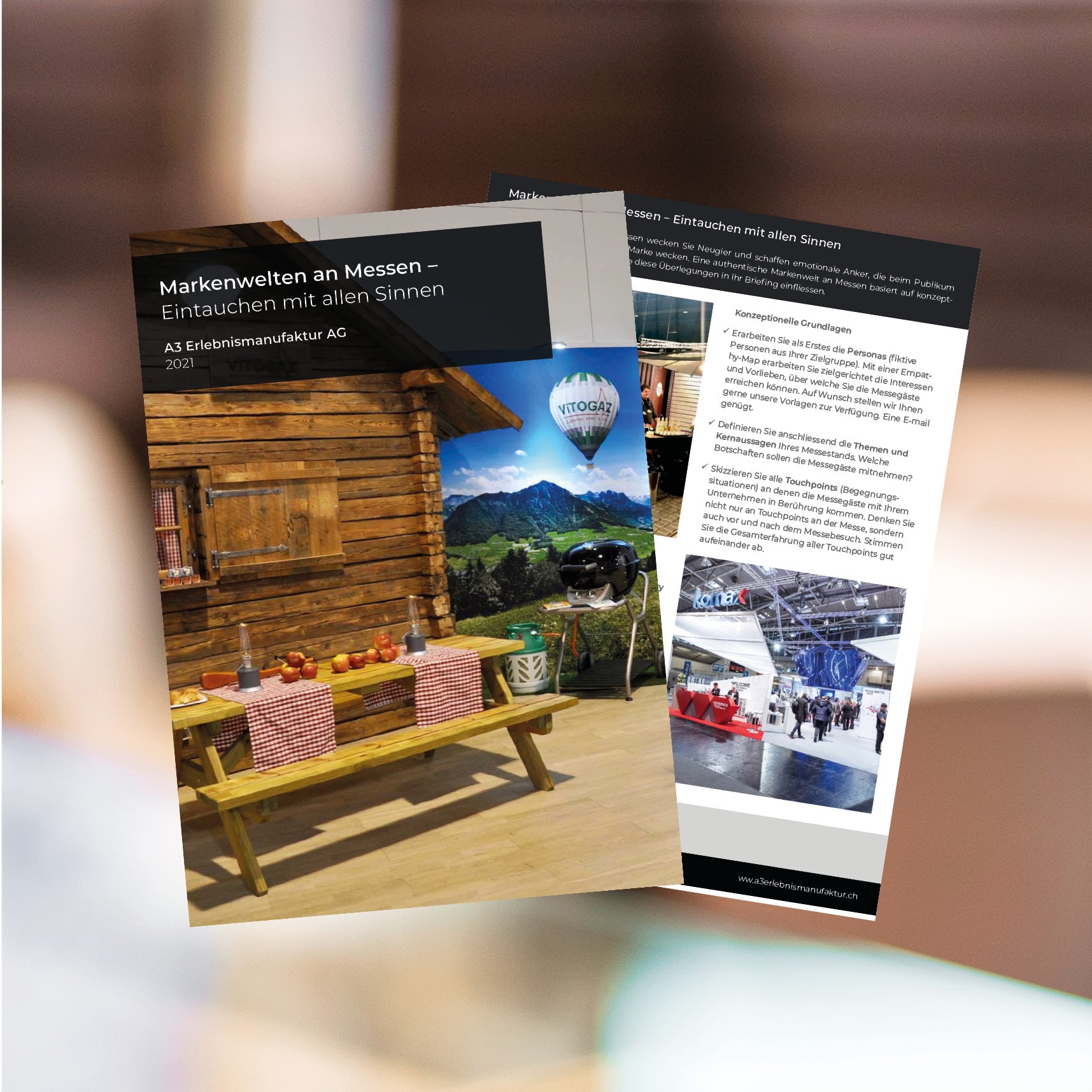 Vorlage Bild Factsheet_converted